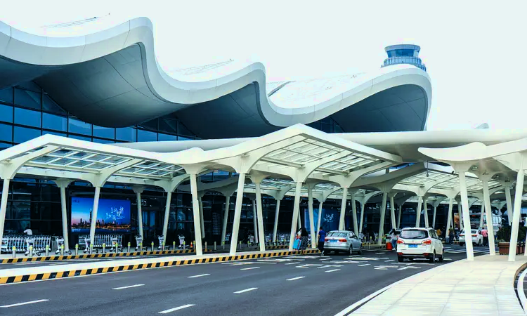 Aeroporto internazionale di Nanchino Lukou