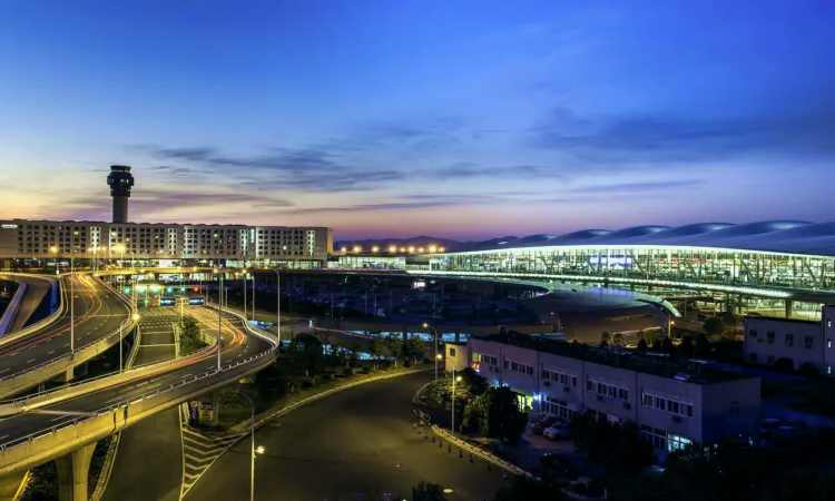 Aeroporto internazionale di Nanchino Lukou