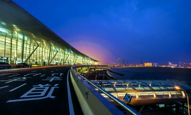 Aeroporto internazionale di Nanchino Lukou