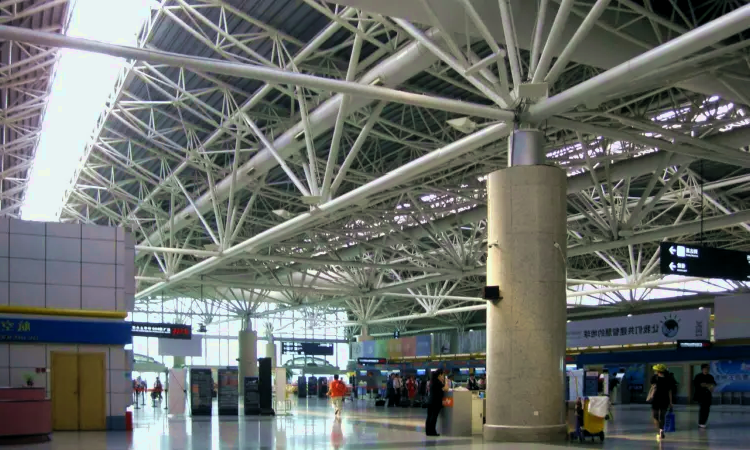 Aeroporto internazionale di Nanchino Lukou