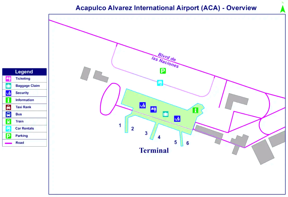 Aeroporto Internazionale Generale Juan N. Álvarez